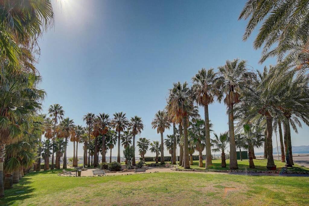 Le Palm - 100M Plage - Croisette - Verriere Cote D'Azur Lejlighed Cannes Eksteriør billede