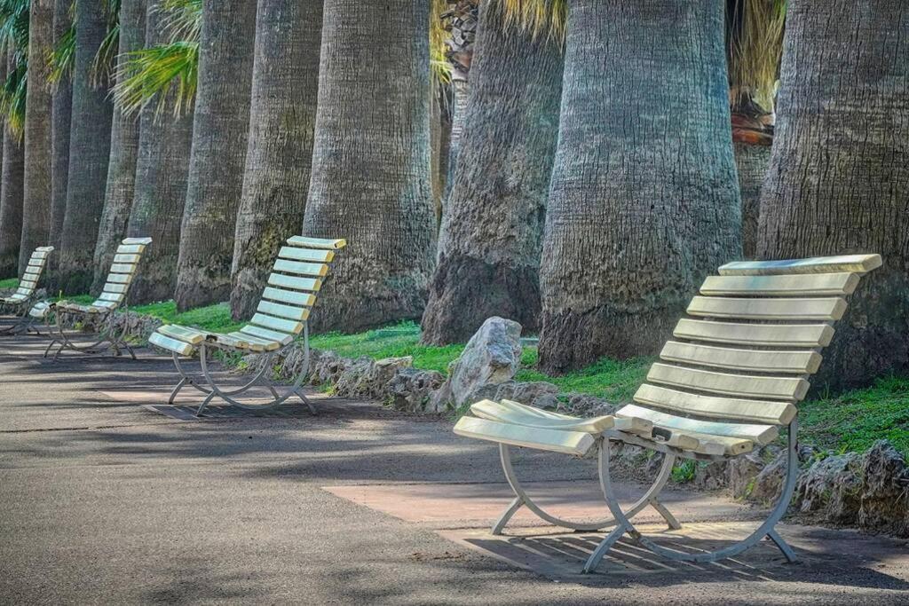 Le Palm - 100M Plage - Croisette - Verriere Cote D'Azur Lejlighed Cannes Eksteriør billede